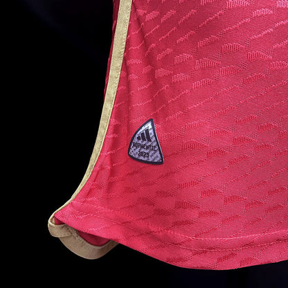 ARSENAL EDICIÓN ESPECIAL VI 23/24 HOMBRE (VERSIÓN JUGADOR)